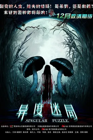 Постер к фильму Необычная головоломка (2012)