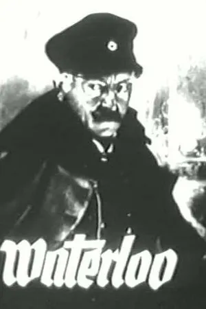 Постер к фильму Ватерлоо (1929)
