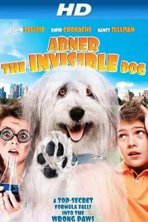 Постер к фильму Абнер, невидимый пёс (2013)