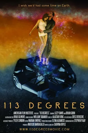 Постер к фильму 113 градусов (2013)