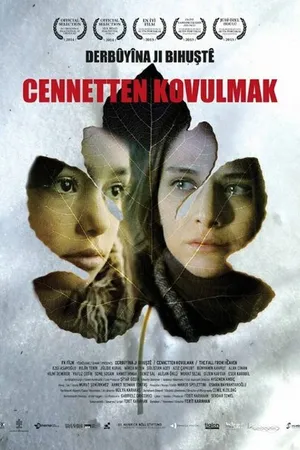 Постер к фильму Падение с небес (2013)