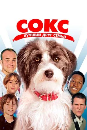 Постер к фильму Сокс. Лучший друг семьи (2013)