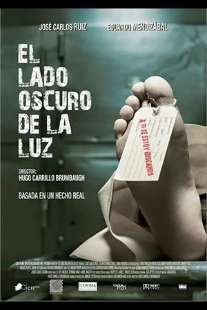 Постер к фильму Тёмная сторона света (2013)