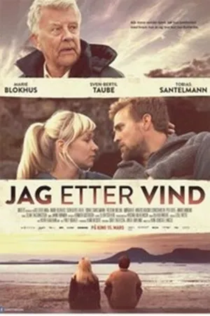 Постер к фильму Погоня за ветром (2013)