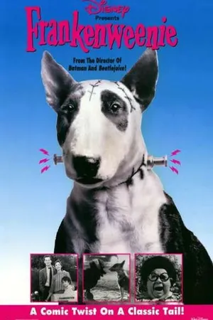 Постер к фильму Франкенвини (1984)