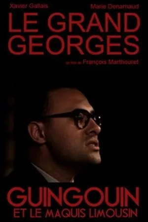 Постер к фильму Большой Жорж (2012)