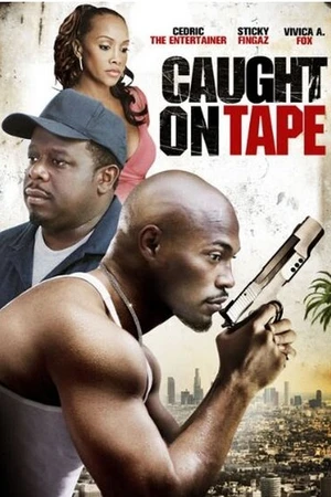 Постер к фильму Попавшие на пленку (2013)