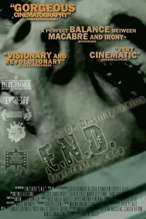 Постер к фильму E.N.D. (2013)