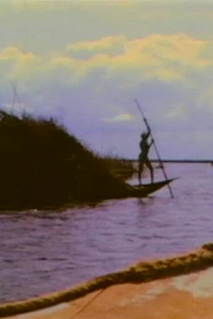 Постер к фильму Frammenti elettrici n. 5 - Africa (2005)