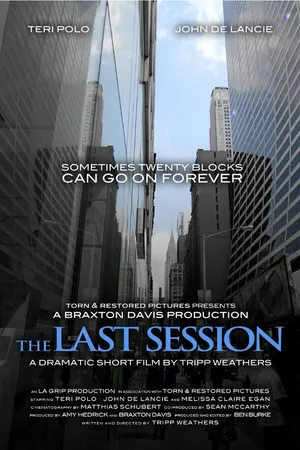 Постер к фильму The Last Session (2013)