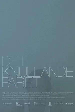 Постер к фильму Det knullande paret (2013)