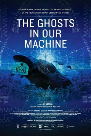 Постер к фильму Призраки в нашей машине (2013)