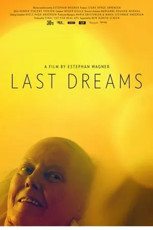Постер к фильму Последние мечты (2013)