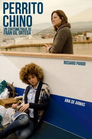 Постер к фильму Perrito chino (2012)