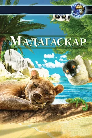 Постер к фильму Мадагаскар 3D (2013)