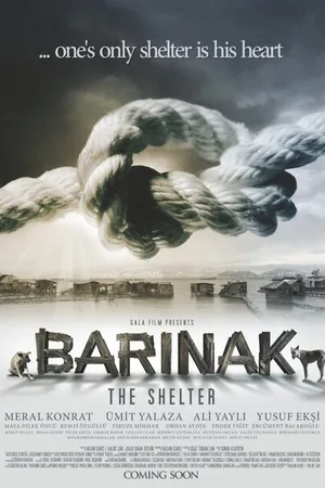 Постер к фильму Укрытие (2012)