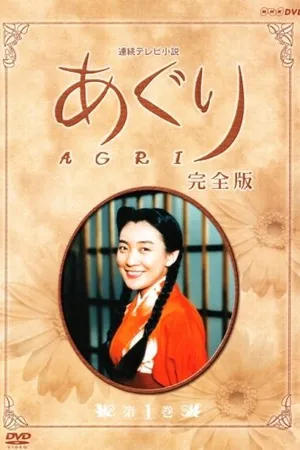 Постер к сериалу Агури (1997)