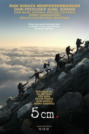 Постер к фильму 5 cm (2012)