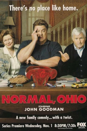 Постер к сериалу Гетеросексуальный, Огайо (2000)