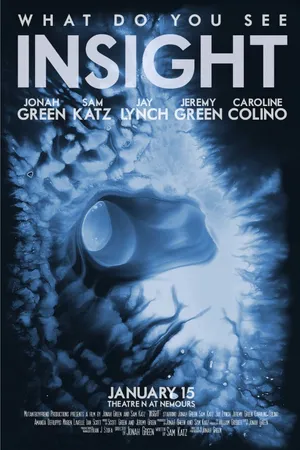 Постер к фильму Insight (2013)
