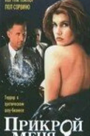 Постер к фильму Прикрой меня (1995)