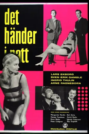 Постер к фильму Det händer i natt (1957)