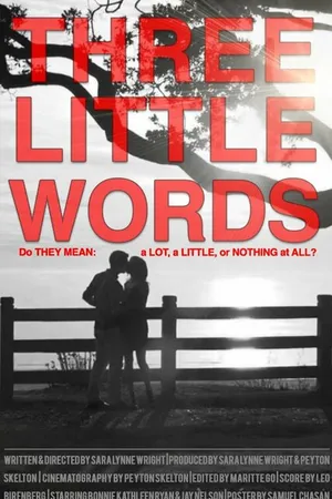 Постер к фильму Three Little Words (2013)