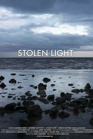 Постер к фильму Stolen Light (2013)