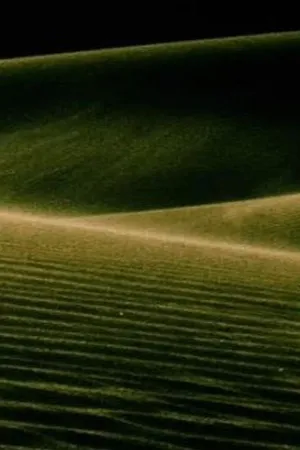 Постер к фильму Alaya (1987)