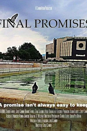 Постер к фильму Final Promises (2013)
