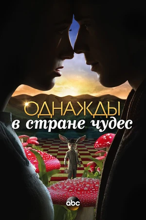 Постер к сериалу Однажды в стране чудес (2013 - 2014)