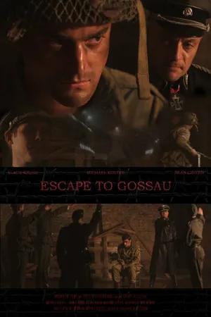Постер к фильму Escape to Gossau (2013)