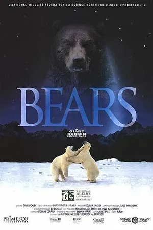 Постер к фильму Медведи (2004)