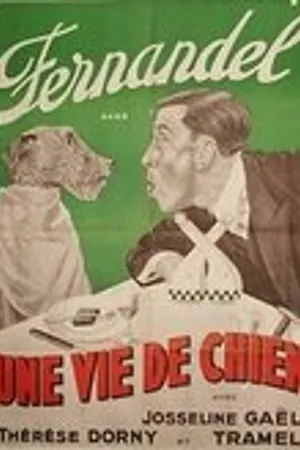 Постер к фильму Собачья жизнь (1941)