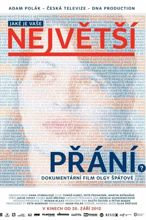 Постер к фильму Nejvetsí prání 3 (2012)