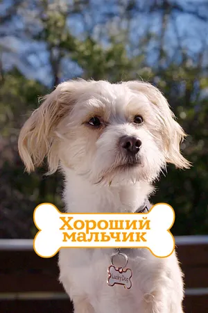 Постер к сериалу Хороший мальчик (2013)
