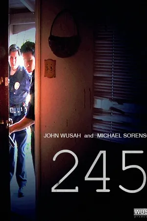 Постер к фильму 245 (2013)