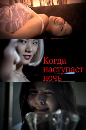 Постер к фильму Когда наступает ночь (2009)