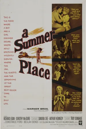 Постер к фильму Летнее место (1959)