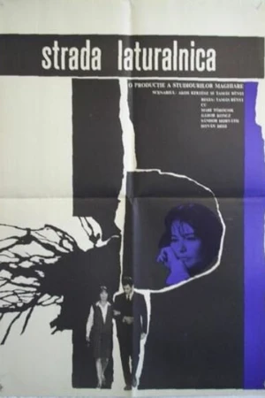 Постер к фильму Переулок (1967)