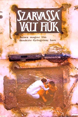 Постер к фильму Szarvassá vált fiúk (1974)