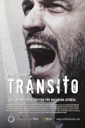 Постер к фильму Транзит (2013)