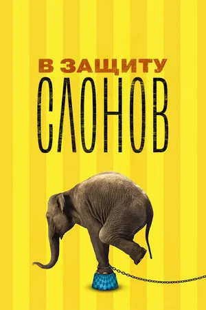 Постер к фильму В защиту слонов (2013)