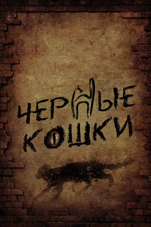 Постер к сериалу Черные кошки (2013)
