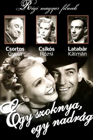 Постер к фильму Одна юбка, одни брюки (1943)