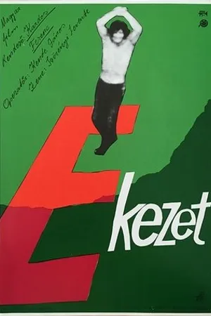 Постер к фильму Акцент (1977)