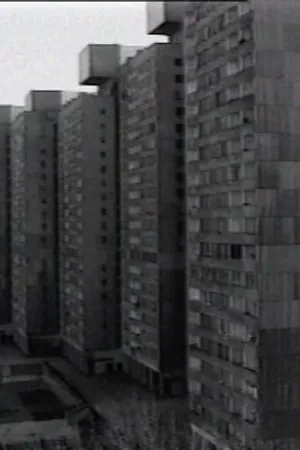 Постер к фильму Z mojego okna (2000)