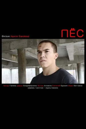 Постер к фильму Пес (2012)