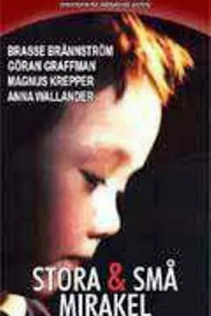 Постер к фильму Большие и маленькие чудеса (1999)