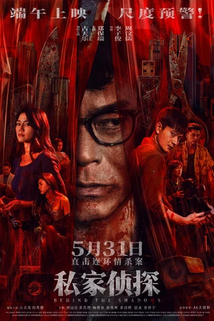 Постер к фильму В тени (2025)